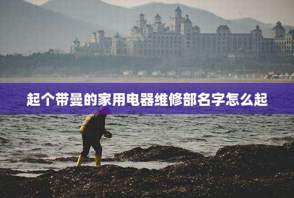 起个带曼的家用电器维修部名字怎么起
