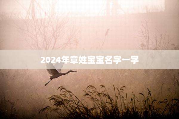 2024年章姓宝宝名字一字