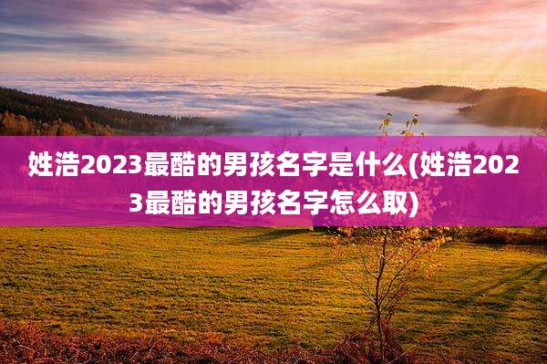 姓浩2023最酷的男孩名字是什么(姓浩2023最酷的男孩名字怎么取)