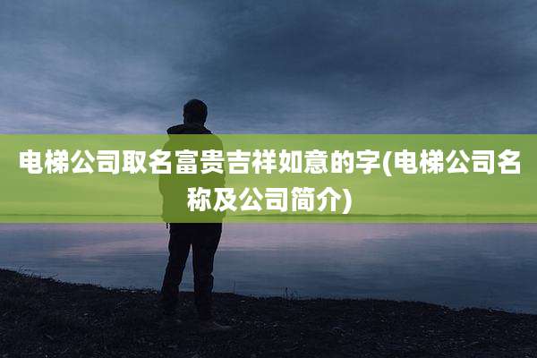 电梯公司取名富贵吉祥如意的字(电梯公司名称及公司简介)