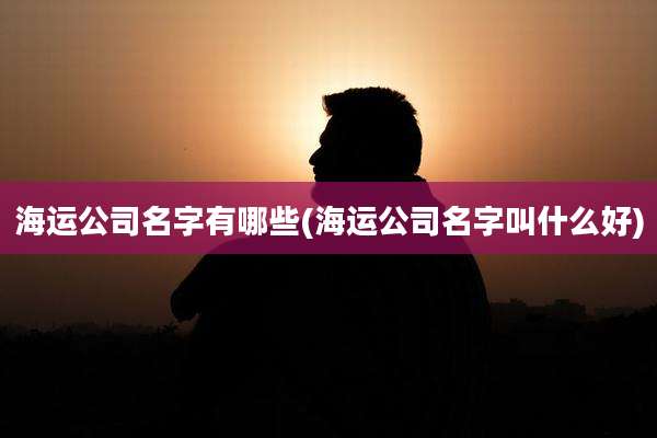 海运公司名字有哪些(海运公司名字叫什么好)