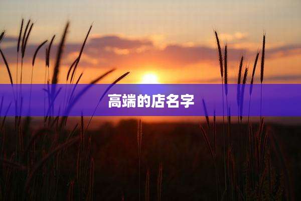 高端的店名字