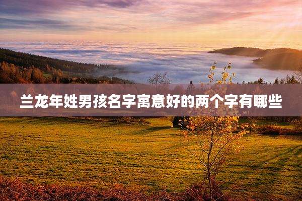 兰龙年姓男孩名字寓意好的两个字有哪些