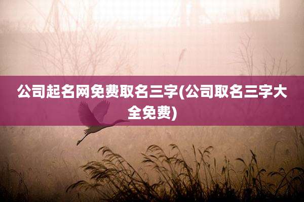 公司起名网免费取名三字(公司取名三字大全免费)