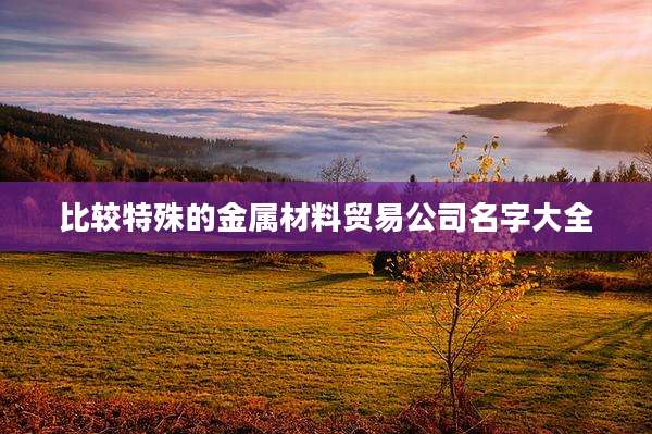比较特殊的金属材料贸易公司名字大全