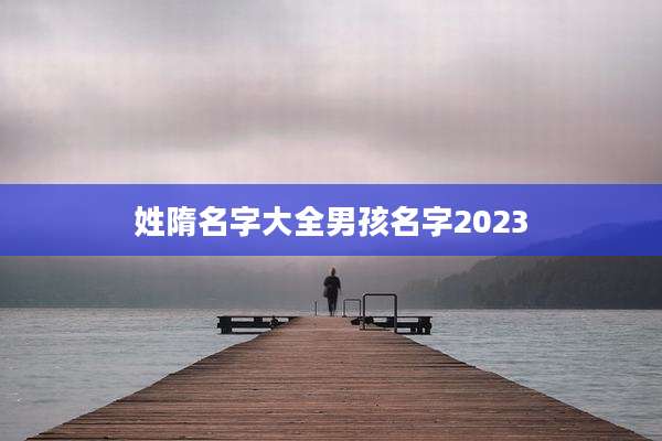 姓隋名字大全男孩名字2023