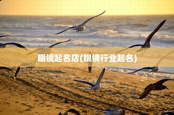 眼镜起名店(眼镜行业起名)