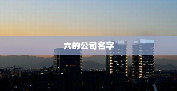 六的公司名字