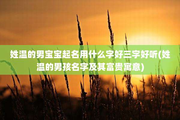 姓温的男宝宝起名用什么字好三字好听(姓温的男孩名字及其富贵寓意)