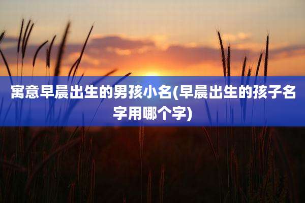 寓意早晨出生的男孩小名(早晨出生的孩子名字用哪个字)