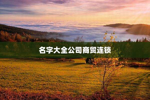 名字大全公司商贸连锁