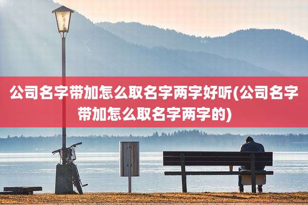 公司名字带加怎么取名字两字好听(公司名字带加怎么取名字两字的)