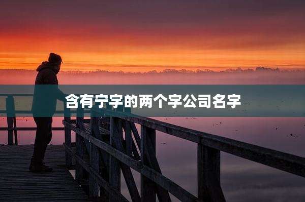 含有宁字的两个字公司名字