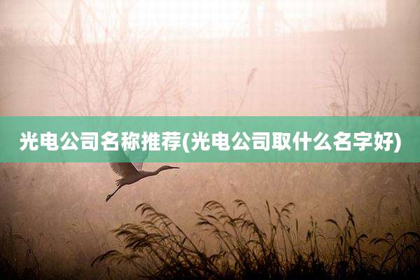 光电公司名称推荐(光电公司取什么名字好)