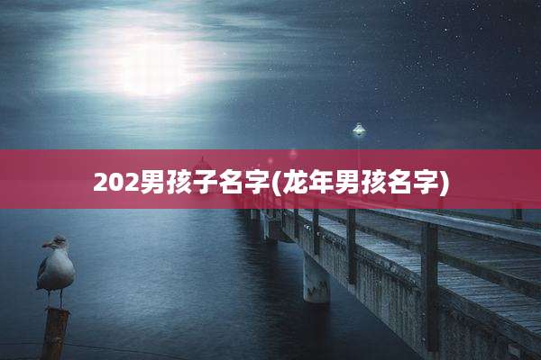 202男孩子名字(龙年男孩名字)