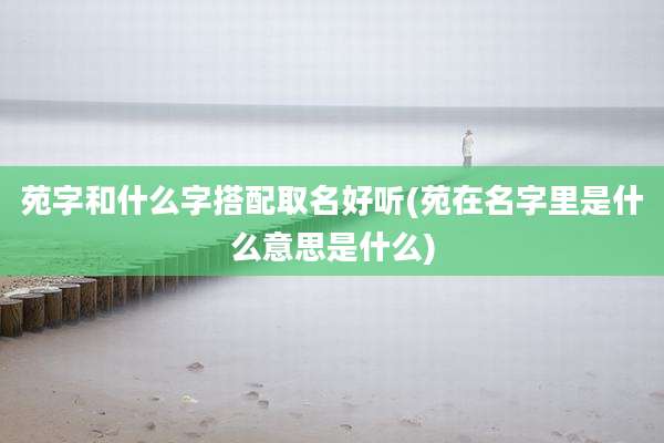 苑字和什么字搭配取名好听(苑在名字里是什么意思是什么)