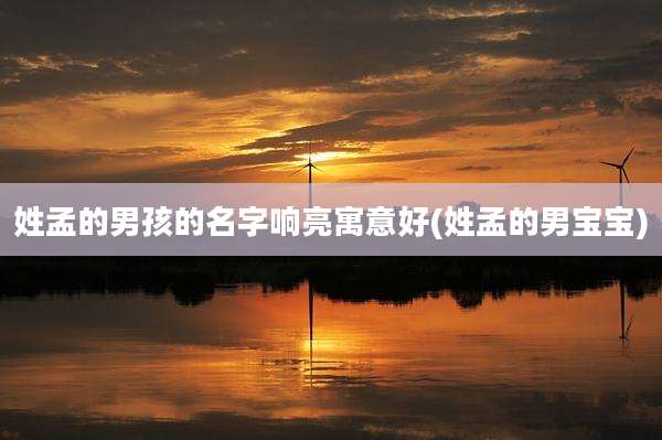 姓孟的男孩的名字响亮寓意好(姓孟的男宝宝)