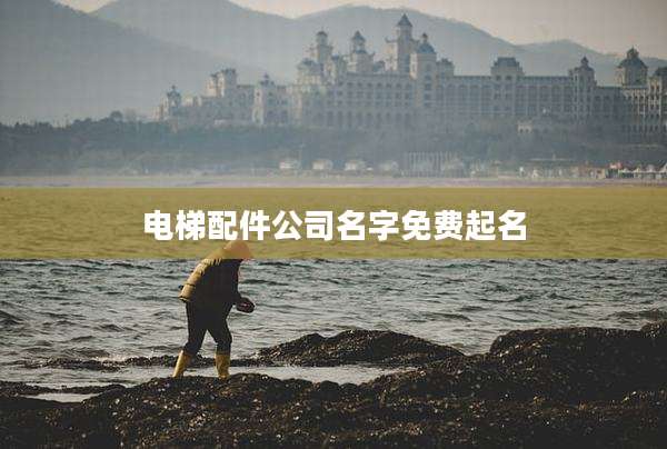 电梯配件公司名字免费起名