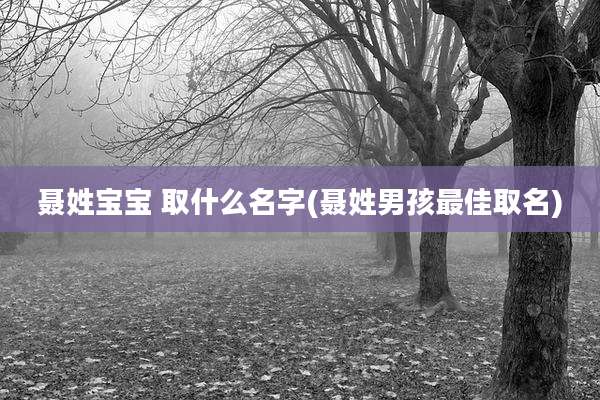聂姓宝宝 取什么名字(聂姓男孩最佳取名)