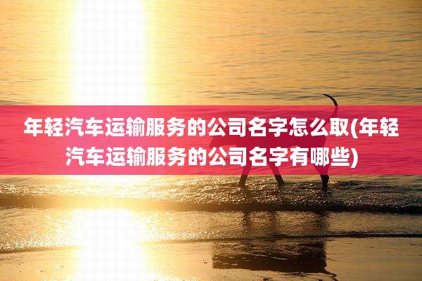 年轻汽车运输服务的公司名字怎么取(年轻汽车运输服务的公司名字有哪些)
