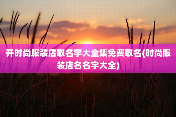 开时尚服装店取名字大全集免费取名(时尚服装店名名字大全)