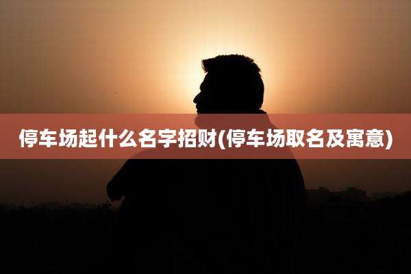 停车场起什么名字招财(停车场取名及寓意)