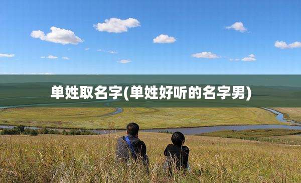 单姓取名字(单姓好听的名字男)