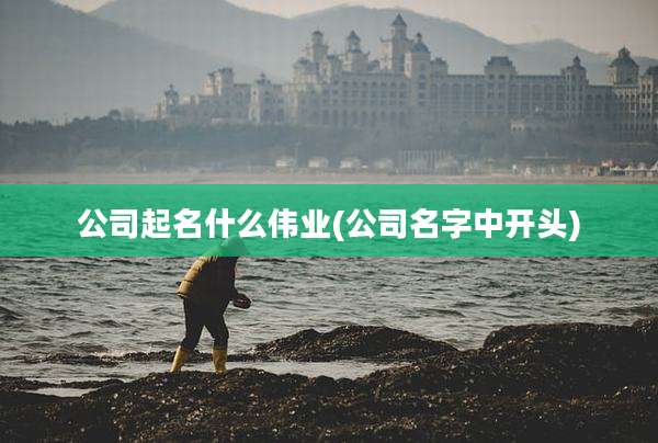 公司起名什么伟业(公司名字中开头)