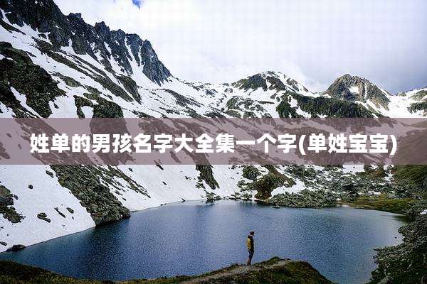 姓单的男孩名字大全集一个字(单姓宝宝)