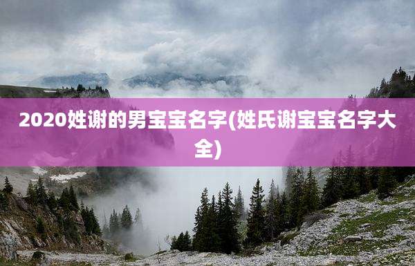 2020姓谢的男宝宝名字(姓氏谢宝宝名字大全)