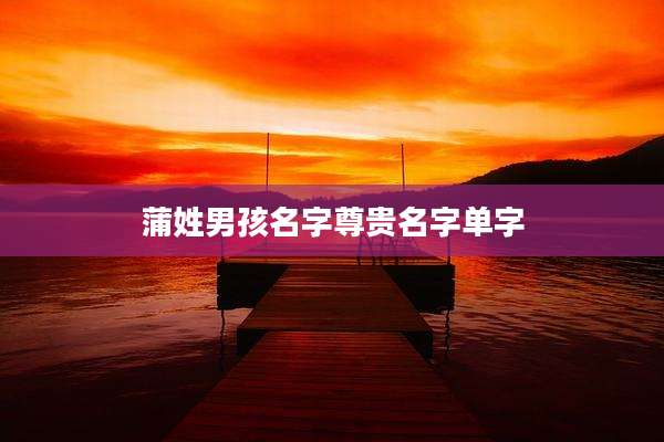 蒲姓男孩名字尊贵名字单字