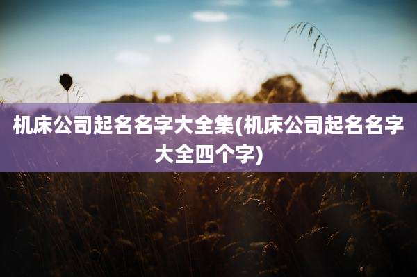 机床公司起名名字大全集(机床公司起名名字大全四个字)