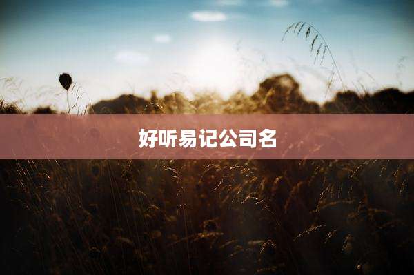好听易记公司名
