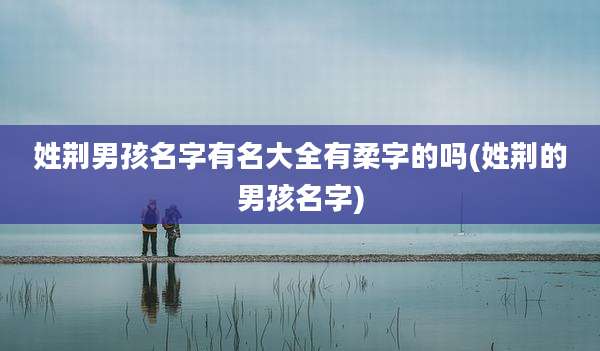 姓荆男孩名字有名大全有柔字的吗(姓荆的男孩名字)