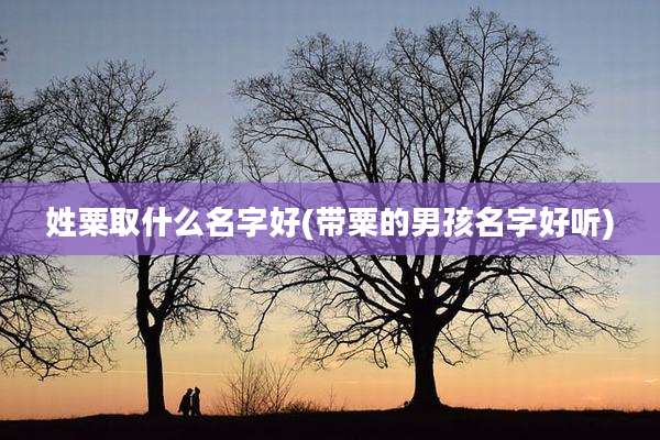 姓粟取什么名字好(带粟的男孩名字好听)