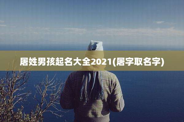 屠姓男孩起名大全2021(屠字取名字)