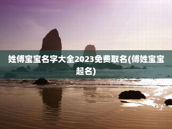 姓傅宝宝名字大全2023免费取名(傅姓宝宝起名)