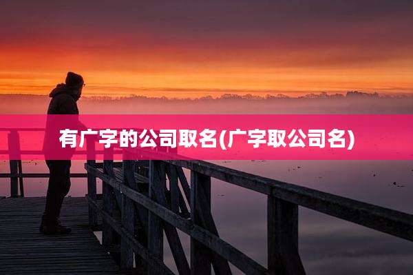有广字的公司取名(广字取公司名)