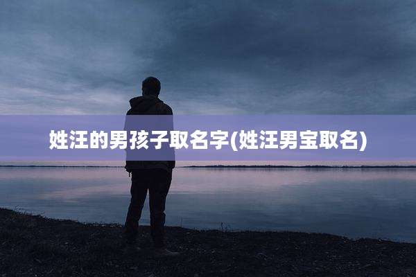 姓汪的男孩子取名字(姓汪男宝取名)