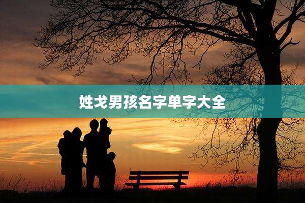 姓戈男孩名字单字大全