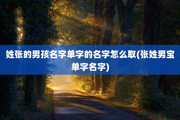 姓张的男孩名字单字的名字怎么取(张姓男宝单字名字)