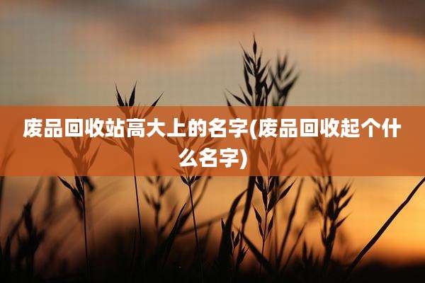 废品回收站高大上的名字(废品回收起个什么名字)