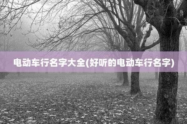 电动车行名字大全(好听的电动车行名字)
