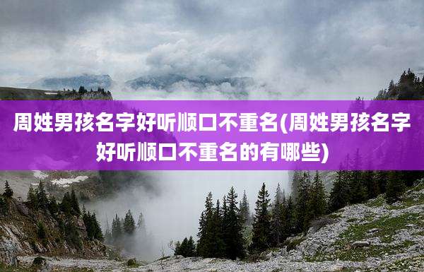 周姓男孩名字好听顺口不重名(周姓男孩名字好听顺口不重名的有哪些)