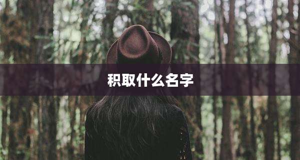 积取什么名字
