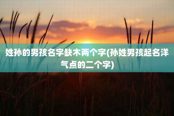 姓孙的男孩名字缺木两个字(孙姓男孩起名洋气点的二个字)