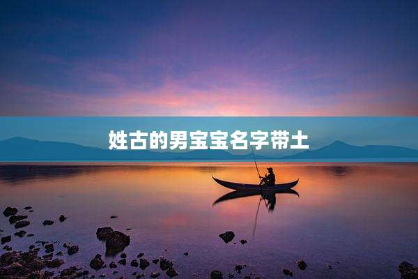 姓古的男宝宝名字带土