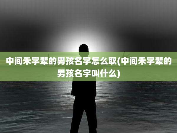 中间禾字辈的男孩名字怎么取(中间禾字辈的男孩名字叫什么)