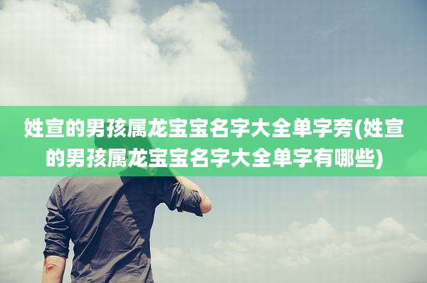 姓宣的男孩属龙宝宝名字大全单字旁(姓宣的男孩属龙宝宝名字大全单字有哪些)