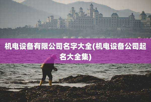 机电设备有限公司名字大全(机电设备公司起名大全集)
